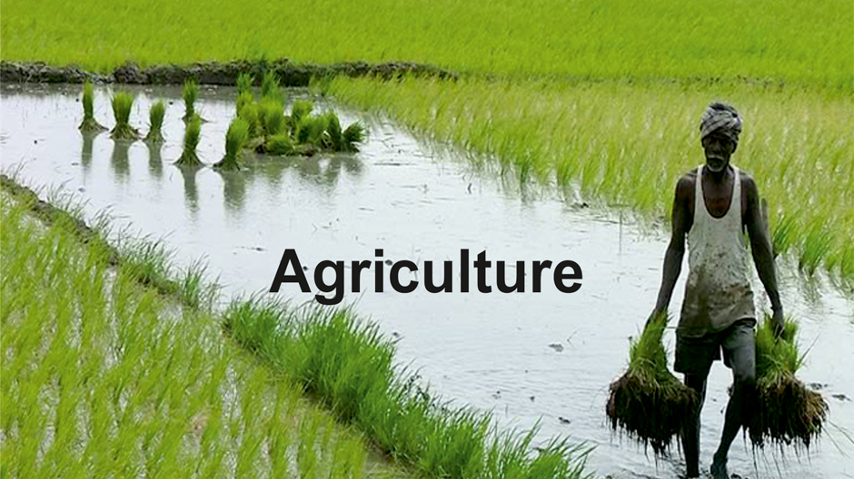 Agriculture Research